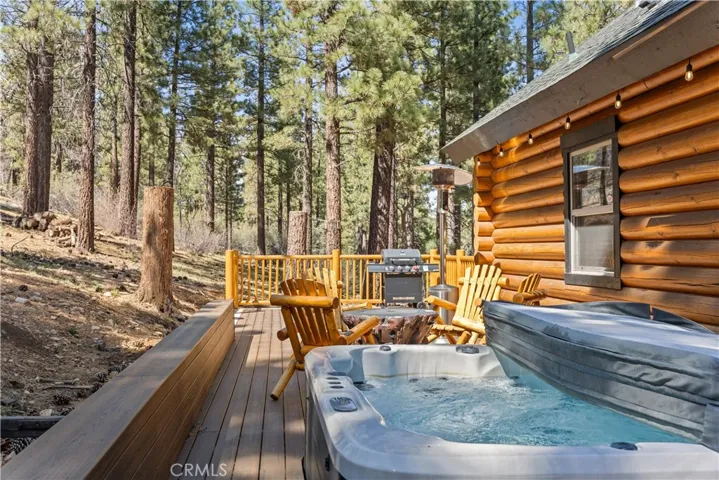 384 Saw Mill Canyon, Big Bear City, California 92314