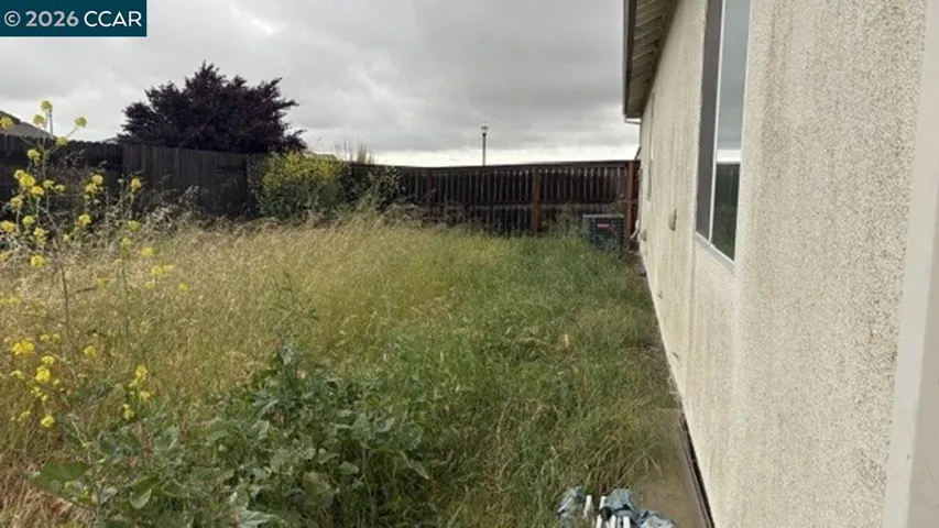 Side yard