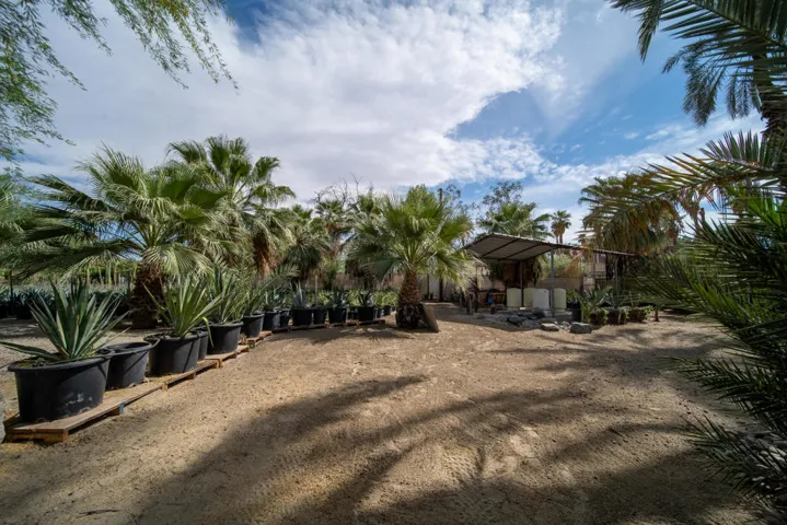 rancho 66 (44)