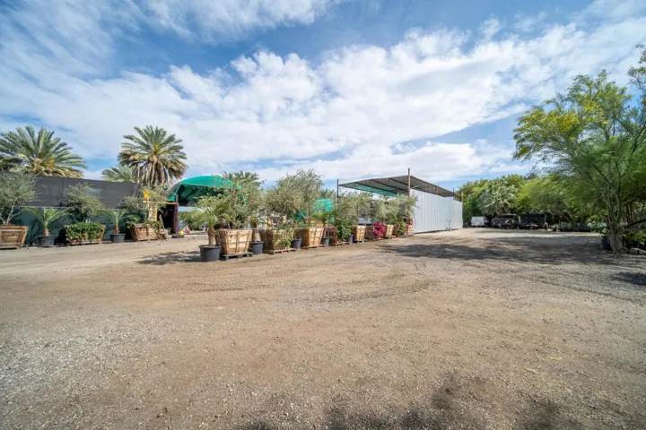 rancho 66 (113)