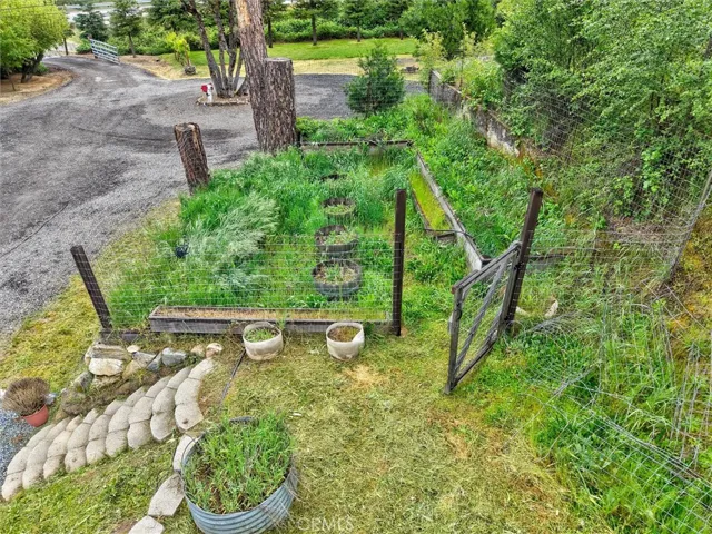 Garden area