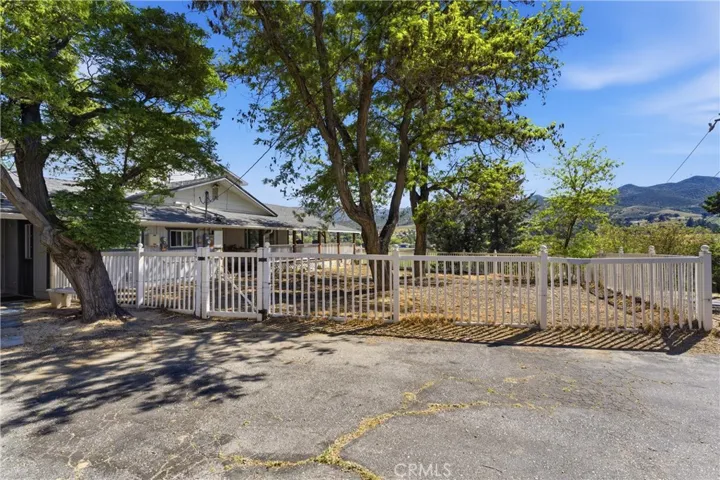 Side yard