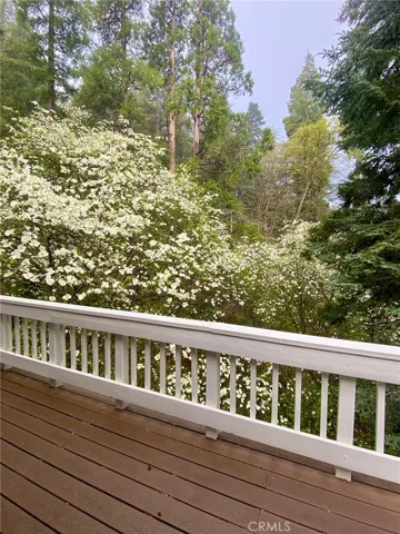 841 Cottage Grove Road, Lake Arrowhead, California 92352
