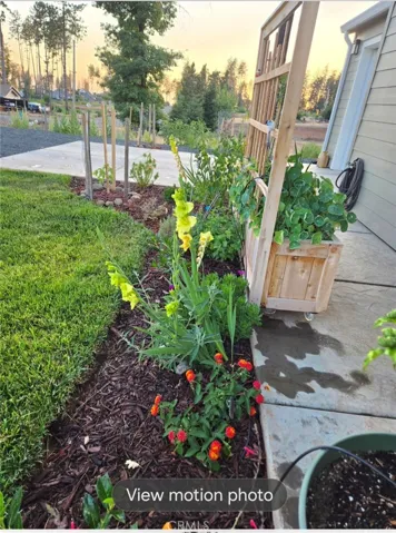 View of front flowers during bloom season.