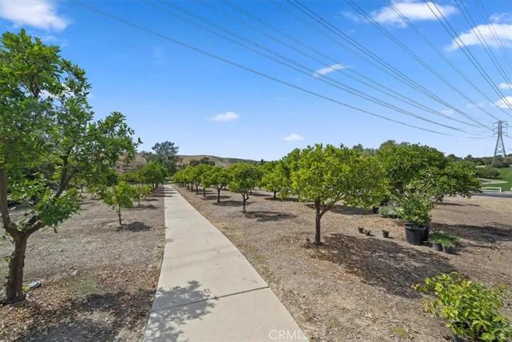 9 Waltham, Ladera Ranch, California 92694