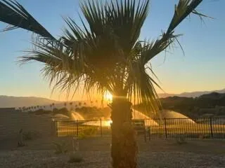 Sunset 2