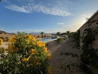 Backyard - Right Wall with Yellow Plant
