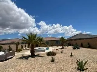 Backyard - Rear to Back of House