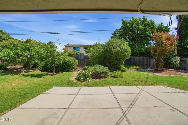 33_backyard