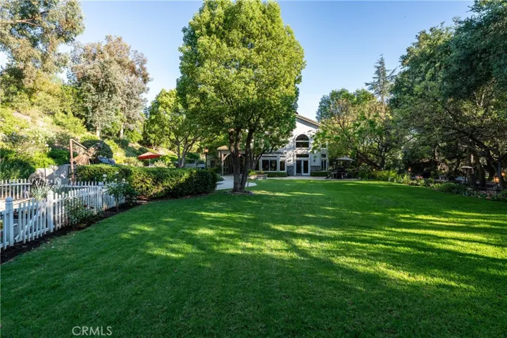 expansive back yard