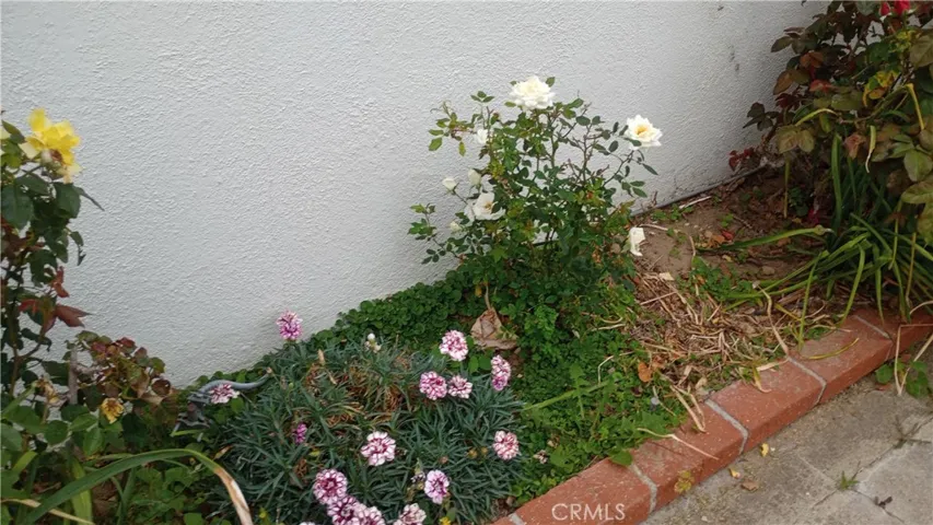 37 Hastings Avenue, Ventura, California 93003