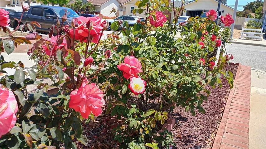 37 Hastings Avenue, Ventura, California 93003