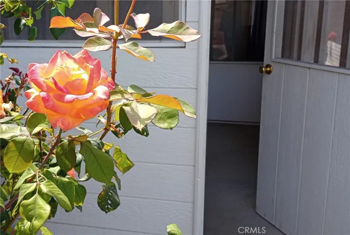 37 Hastings Avenue, Ventura, California 93003