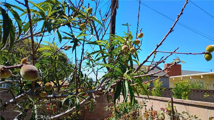 37 Hastings Avenue, Ventura, California 93003