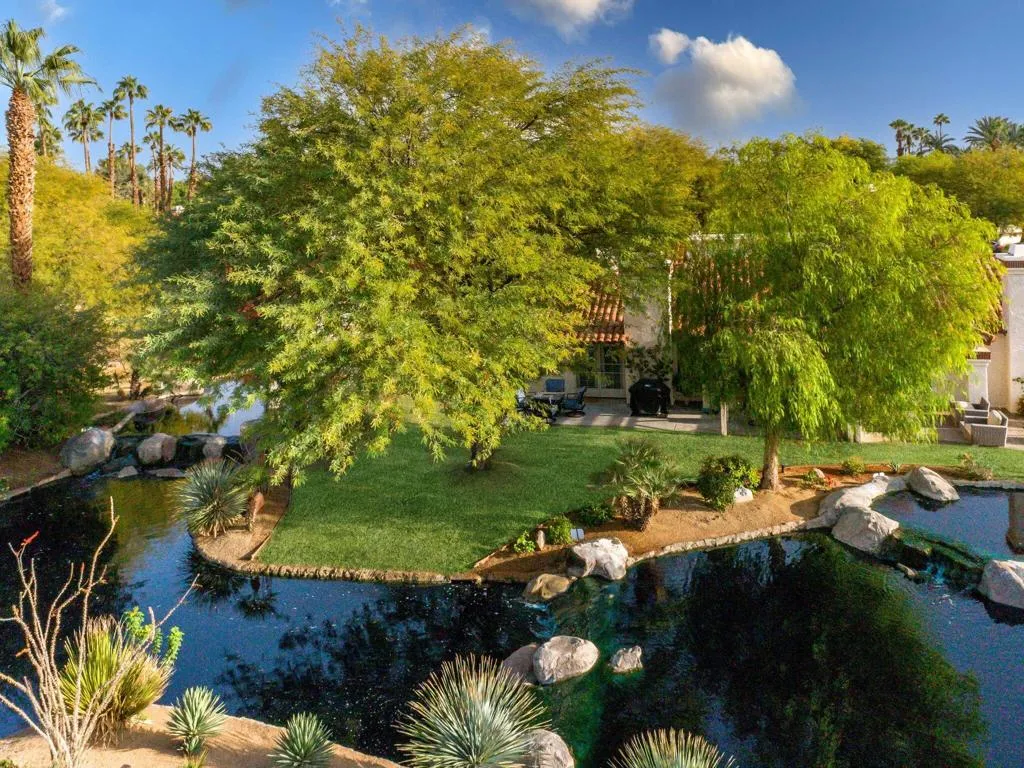 Patio 11