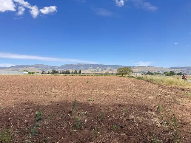310 Lena Avenue, Gilroy, California 95020