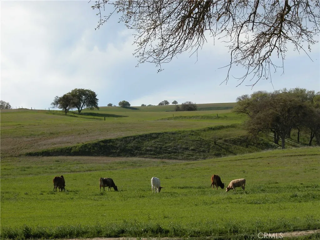 3470 Ranchita Cyn Rd, San Miguel, California 93451 — photo 4