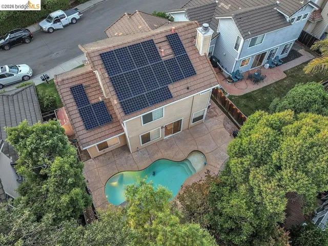 Residential property featuring a freeform swimming pool, concrete patio, and mature trees