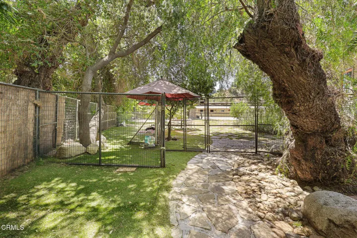 Dog Kennel