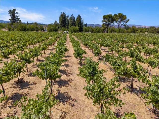 Ranch aerial view