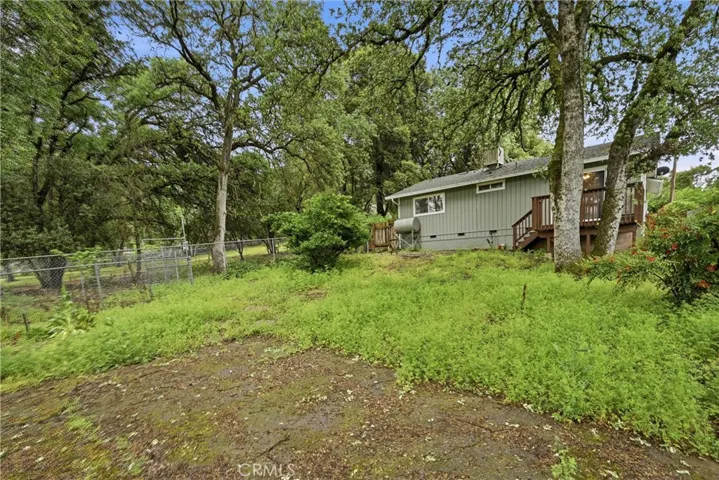 Backyard.