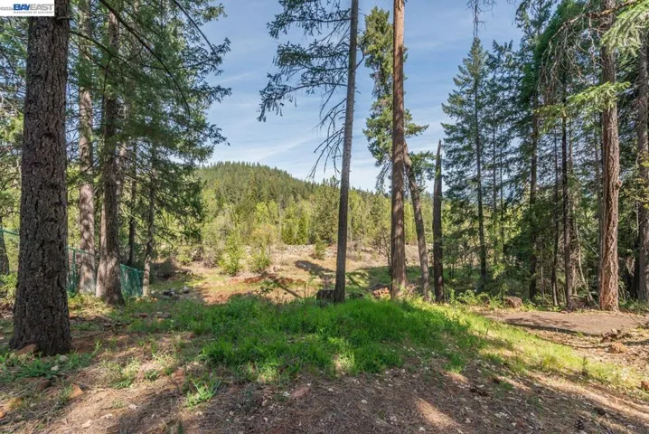 171 Airport Rd, Trinity Center, California 96091
