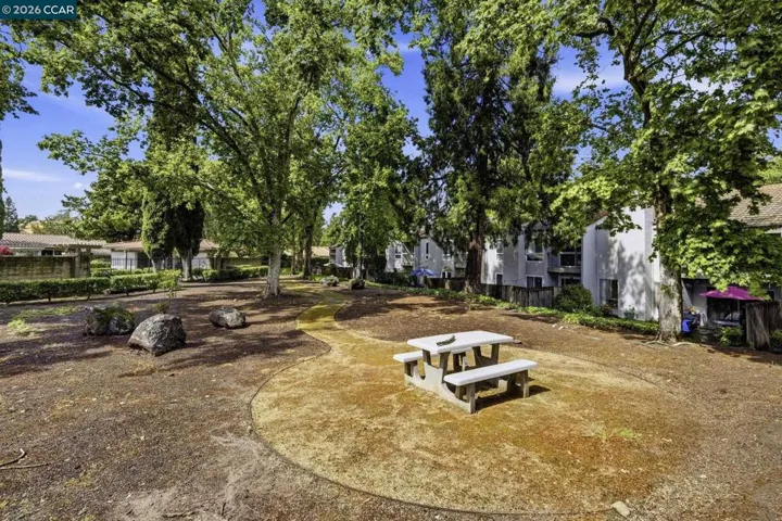 335 Tampico, Walnut Creek, California 94598