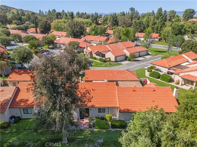 Aerial of back