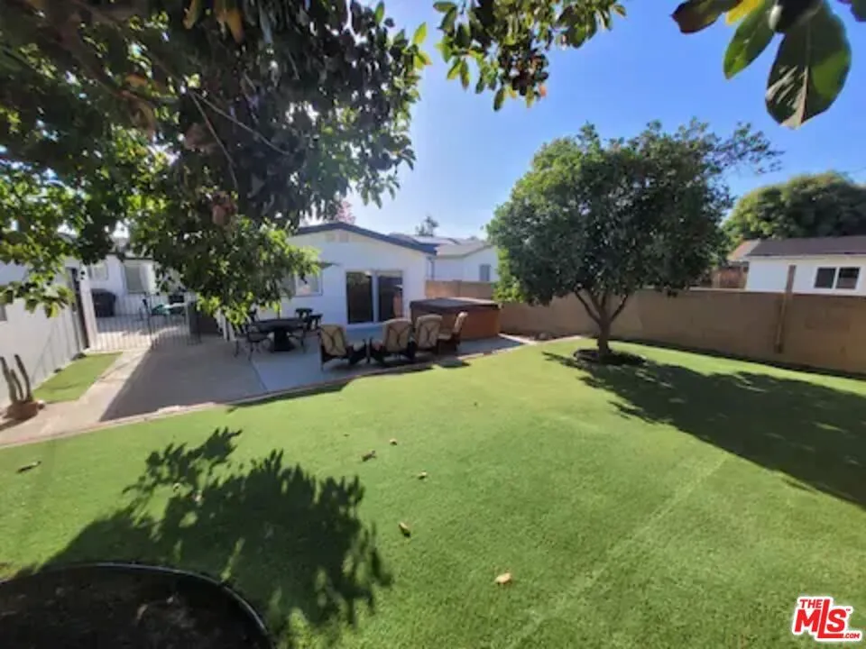 Backyard-2