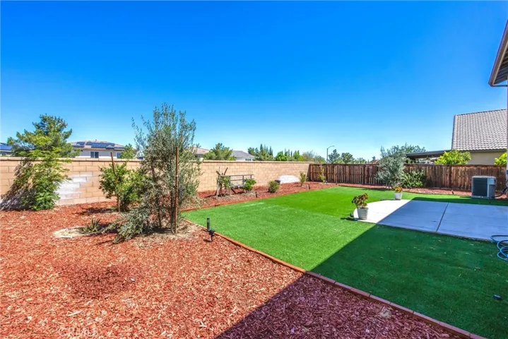 Low maintenance yard