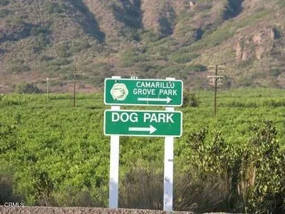 Dog park