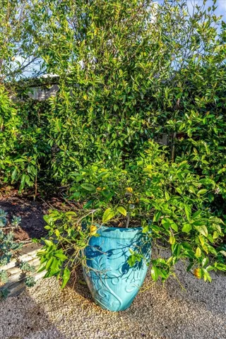 645 Oak, Laguna Beach, California 92651