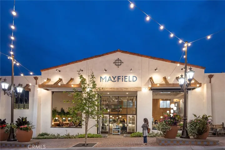Evenings come to life at Mayfield, where elevated dining meets a vibrant, beautifully curated atmosphere.