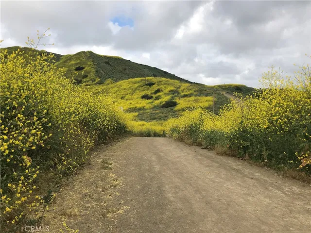 Scenic hillside trails that come alive with seasonal blooms, delivering a peaceful escape just minutes from home.