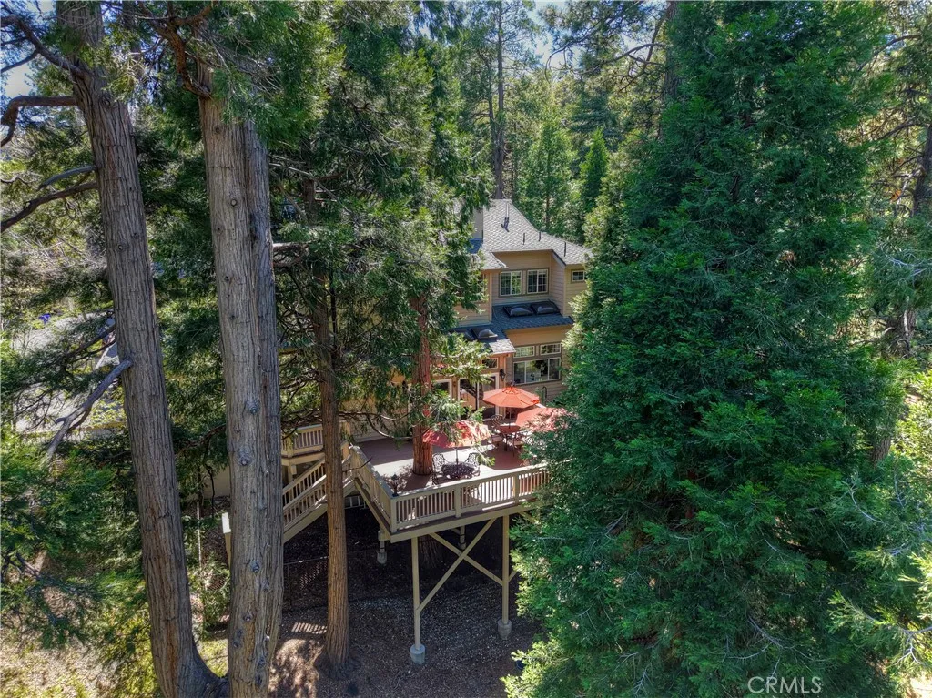 Sitting under towering pines, cedars and other natural trees.