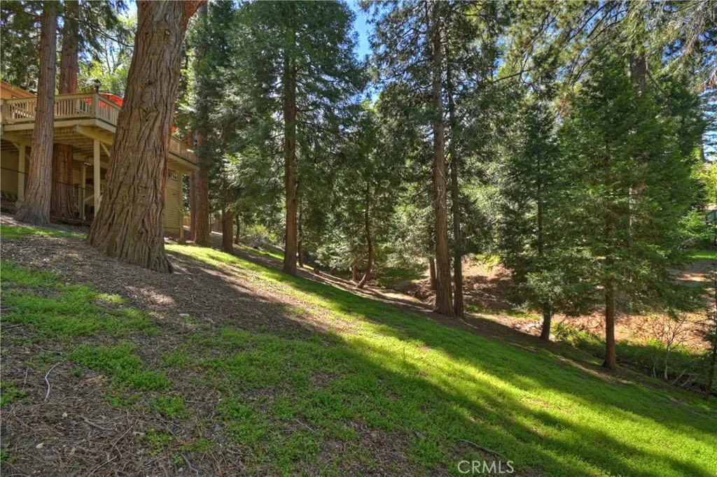 Let the kids and animals roam...completely fenced lot.