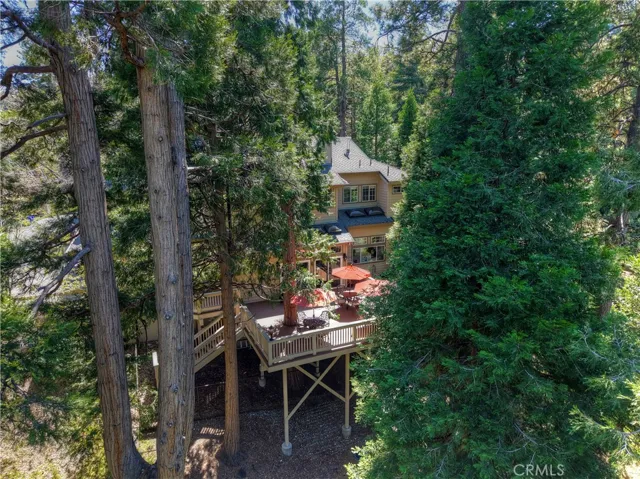 Sitting under towering pines, cedars and other natural trees.