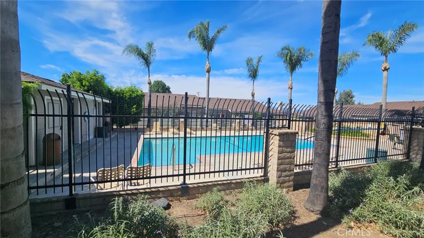 Community Pool
