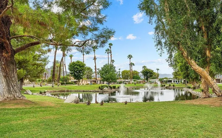 Park views