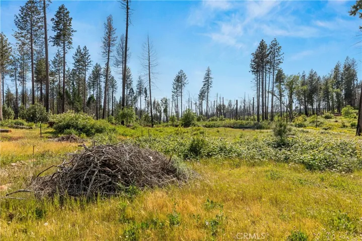 6234 Ponderosa, Magalia, California 95954