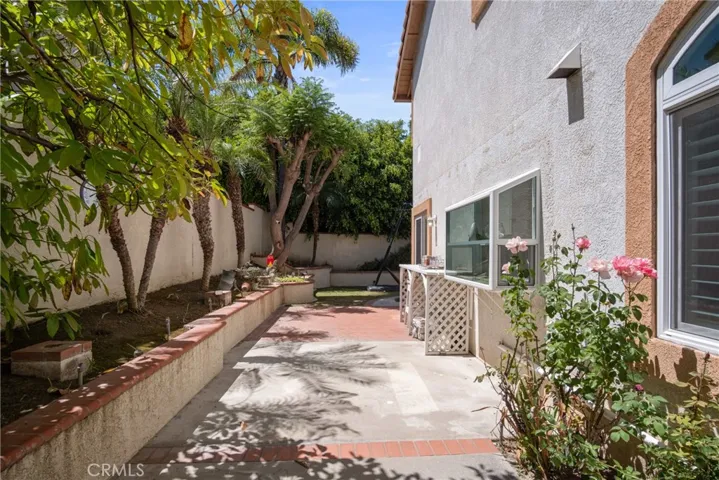 Side yard: orange, lemon and avocado tree