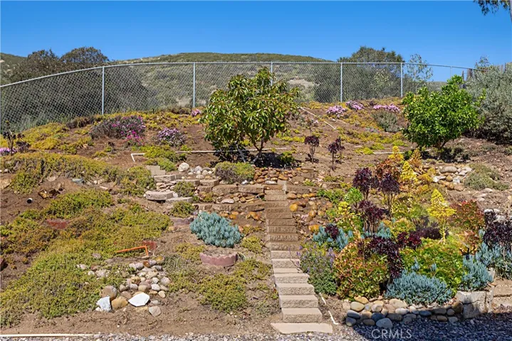 Backyard of the property has terraced gardens with avocado and blood orange trees.