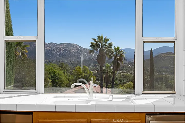 Kitchen Sink views.