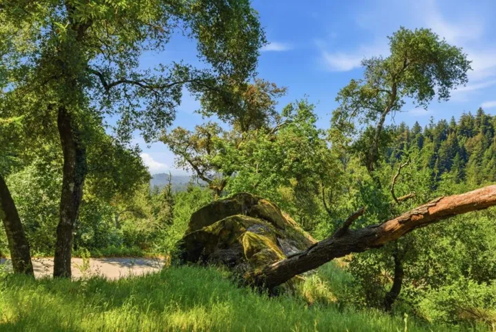17515 Upper East Zayante Road, Los Gatos, California 95033