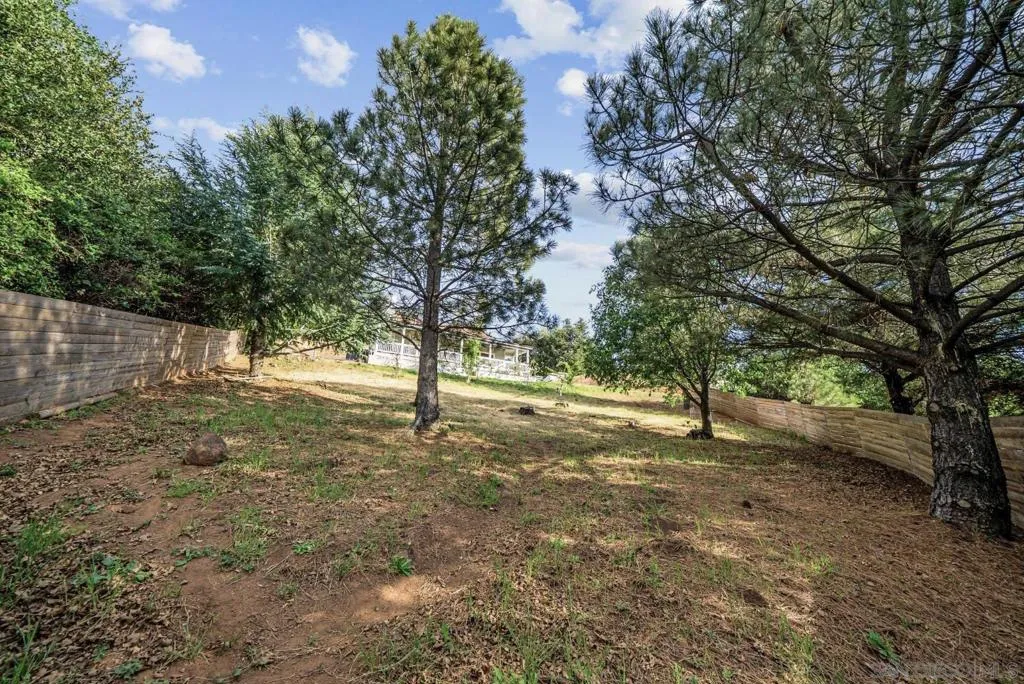 Fully fenced front yard with fruit trees