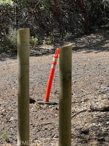 orange markers for lines or water spigots

