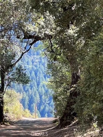 driveway back to main road and thats beautiful Mt Hannah.