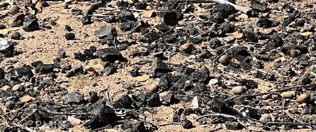 black obsidian rocks shiny and pretty