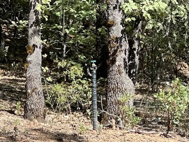 water spigot with Cobb Water meter