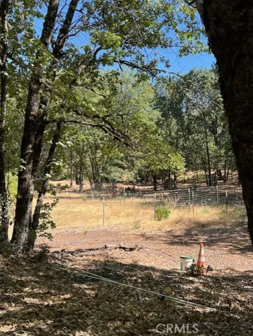 looking to fenced garden help keep deer out